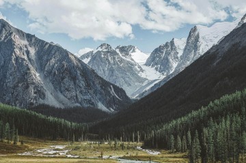滴滴优享积分兑换指南：极速响应兑换优惠券